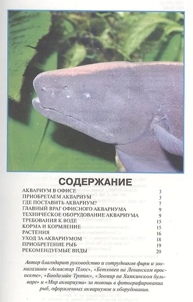 Офисный аквариум - фото 2