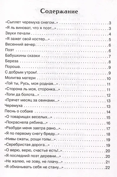 Внеклассное чтение. Не жалею, не зову, не плачу…. - фото 3