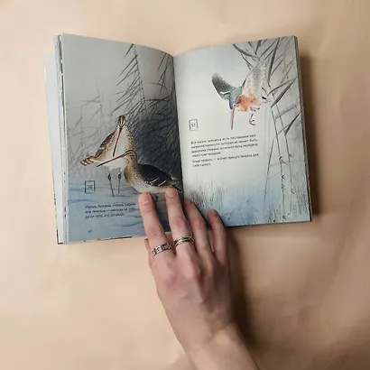 Шепот Вселенной. 101 послание к Тебе, несущее Свет и Тепло - фото 12