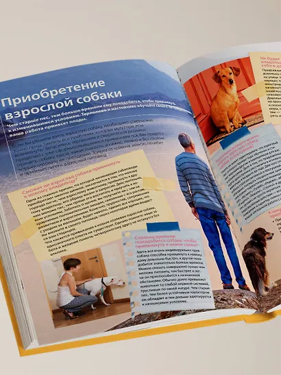 Собаки. Подарочная иллюстрированная энциклопедия (новое оформление) - фото 12