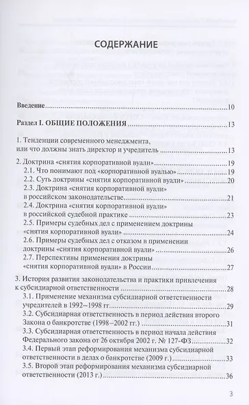 Субсидиарная ответственность в Российской Федерации: новая практика - фото 2