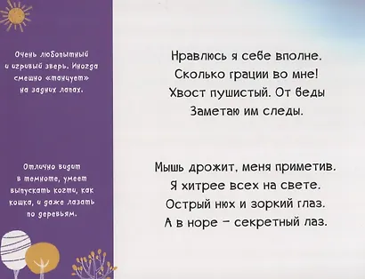 В лесу. 225 животных - фото 2