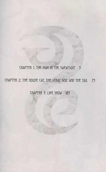 Noragami. Volume 1. Stray God - фото 2