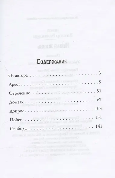 Новая жизнь. Повесть - фото 2