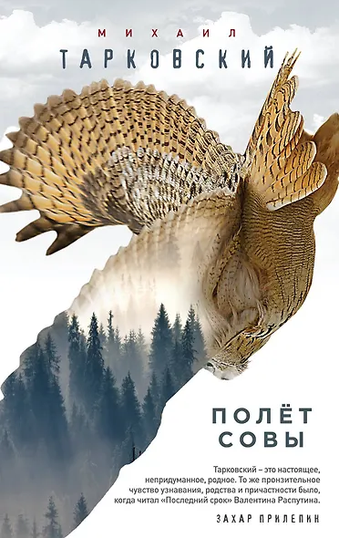 Полёт совы - фото 1