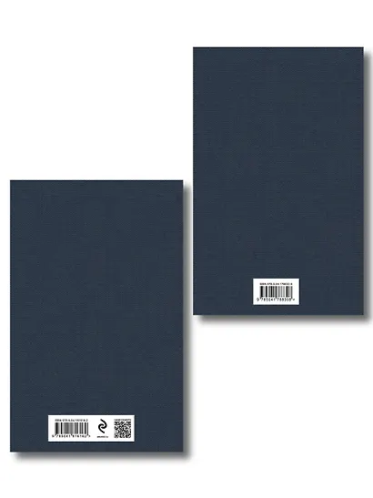 Расшифрованный Евгений Онегин (набор из 2 книг: Евгений Онегин, Комментарии к роману «Евгений Онегин». Биография А. С. Пушкина) - фото 2