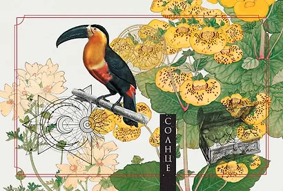 Зеленая лесная Магия. Witch Oracle Cards - фото 6