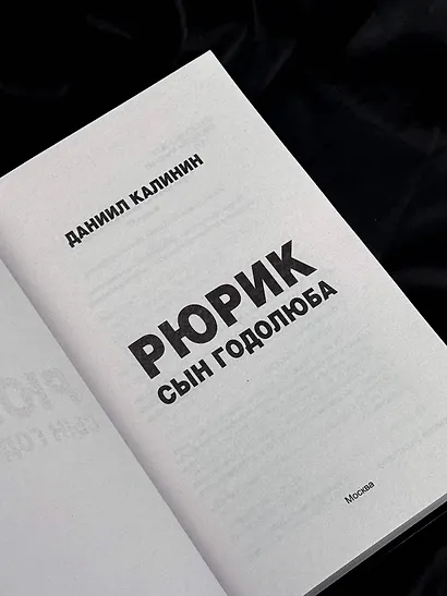 Рюрик. Сын Годолюба - фото 8