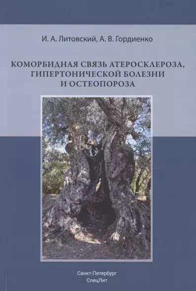 Коморбидная связь атеросклероза, гипертонической болезни и остеопороза - фото 1