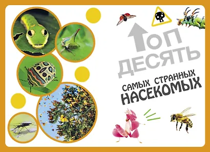 Самые необычные животные и места мира - фото 4