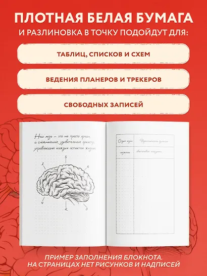Книга для записей А5 64л тчк. "Больше не теряй. Блокнот анатомический" - фото 4