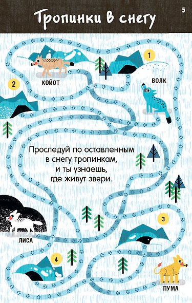 Асборн - карточки. Нескучные лабиринты для тренировки мозга - фото 7