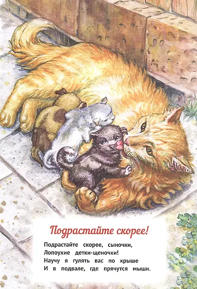 Мы - родные! - фото 4