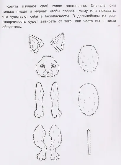 Бумажные котята в шапочках (котенок сфинкса, мейн-куна и др.) Вырежи, раскрась, играй. 12 готовых схем - фото 5