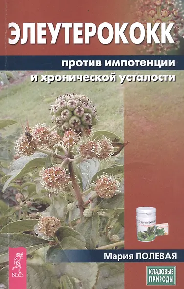 Элеутерококк против импотенции и хронической усталости - фото 1
