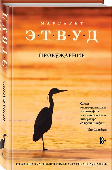 Пробуждение - фото 3