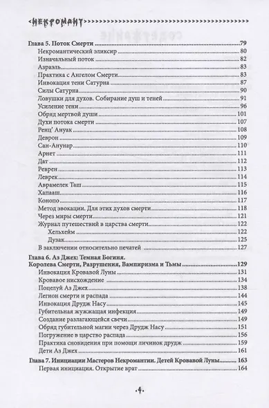 Некромант. Путь Нисходящих Мастеров - фото 3