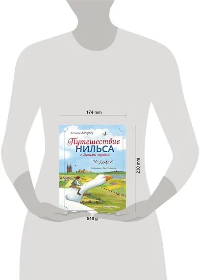 Путешествие Нильса с дикими гусями (ил. Л. Клинтинга) - фото 4