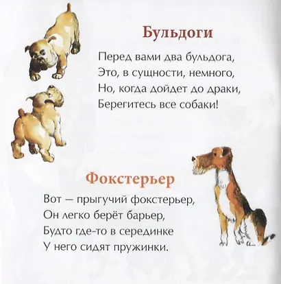 День рождения собаки - фото 2