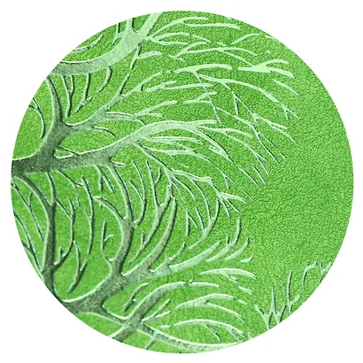 Ежедневник недат. А6+ 120л 110x190 "Тиволи" зеленый, кожзам, тв.переплет, тисн.фольгой, магнит.клапан, офсет, загругл.углы, справ.мат-лшы, ляссе, инд.уп - фото 10