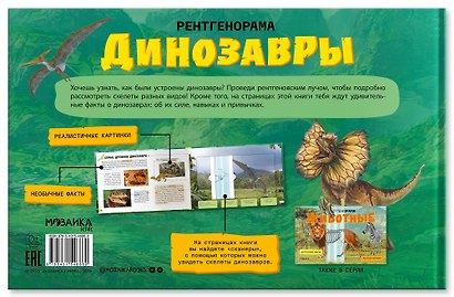Динозавры. Рентгенорама - фото 2