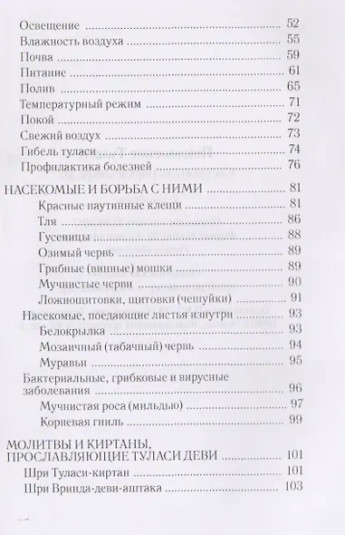 Поклонение туласи - фото 3
