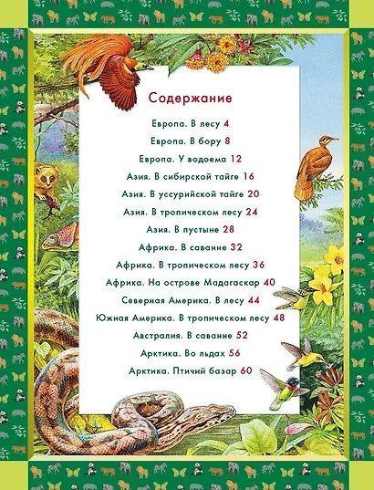Животные мира. Кто живет на нашей планете - фото 3