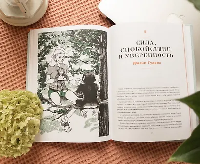 План Б. Истории известных людей, которые не сдались и превратили поражения в победы: от Альберта Эйнштейна и Генри Форда до Джоан Роулинг и Леди Гаги - фото 8