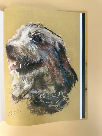 Техники рисования. Графит, цветные карандаши, уголь, пастель, тушь, сангина, восковые мелки, фломастеры и др. - фото 13