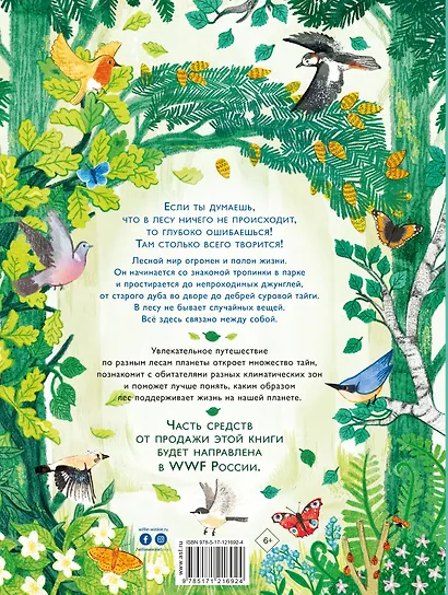 Сквозь лес. По всему свету от тропиков до тайги - фото 2