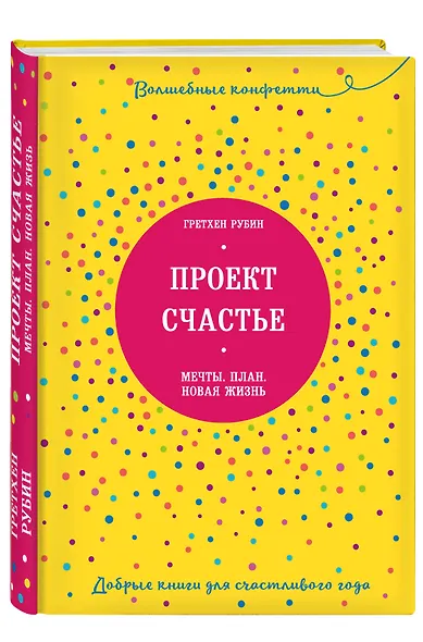 Проект Счастье. Мечты. План. Новая жизнь - фото 3
