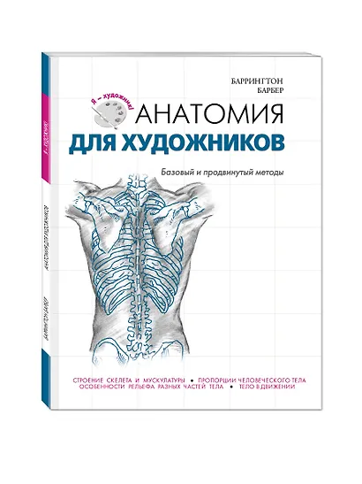 Анатомия для художников - фото 3