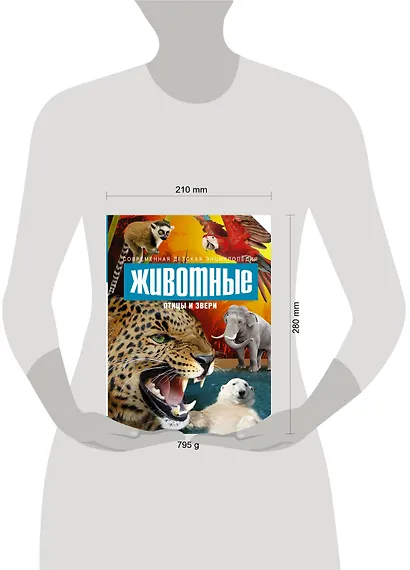 Животные: птицы и звери - фото 3