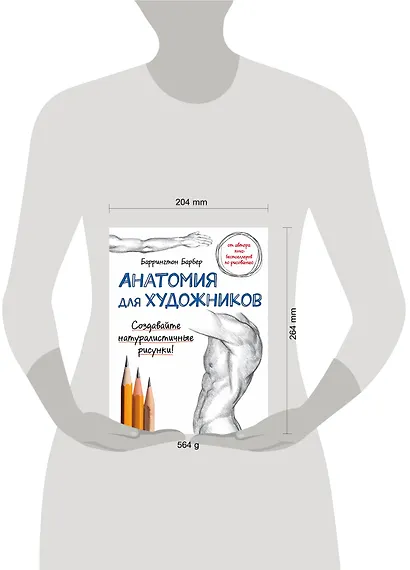 Анатомия для художников - фото 4