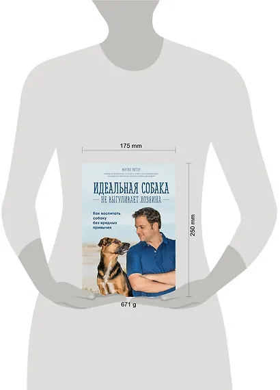 Идеальная собака не выгуливает хозяина. Как воспитать собаку без вредных привычек - фото 4