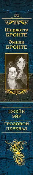 Джейн Эйр. Грозовой перевал. Самые знаменитые романы о любви в одном томе - фото 5