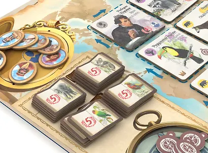 По стопам Дарвина - фото 5