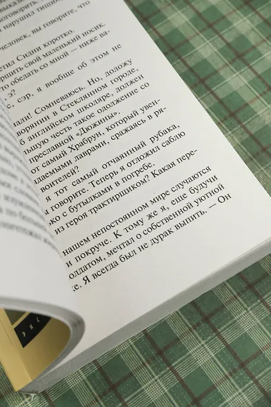 Найденыш - фото 7