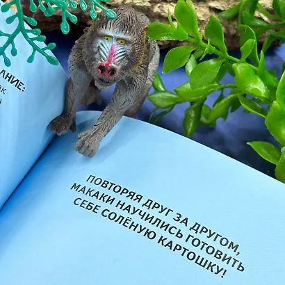 Вместе лучше! Командная работа в мире животных - фото 7