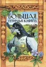 Большая птичья книга - фото 1