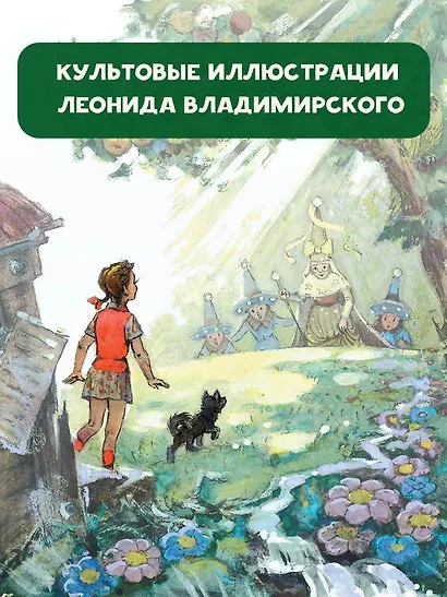 Волшебник Изумрудного города - фото 5