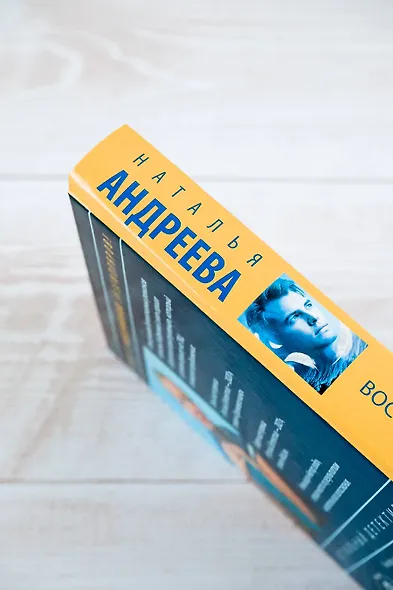 Восемь мстительных богов - фото 6