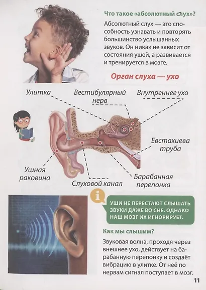 ЭНЦИКЛОПЕДИЯ ДЛЯ МАЛЕНЬКИХ ПОЧЕМУЧЕК. Тело человека - фото 9