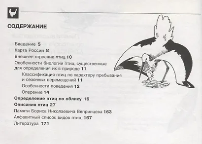 Птицы. Карманный определитель птиц средней полосы Европейской части России - фото 2