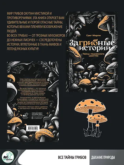 ЗаГРИБные истории. Тайны подземного царства - фото 5