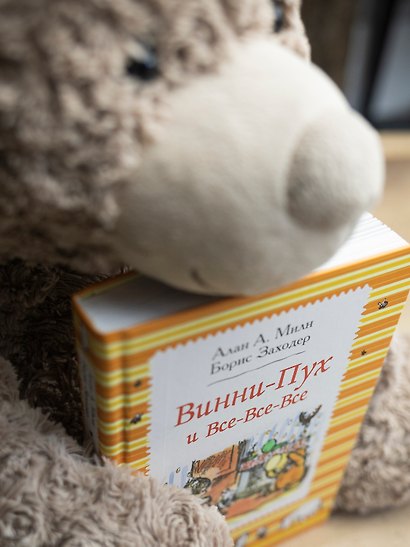 Винни-Пух и все-все-все: сказочные повести - фото 6
