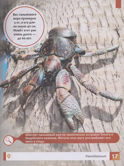 Необычные животные: энциклопедия - фото 4