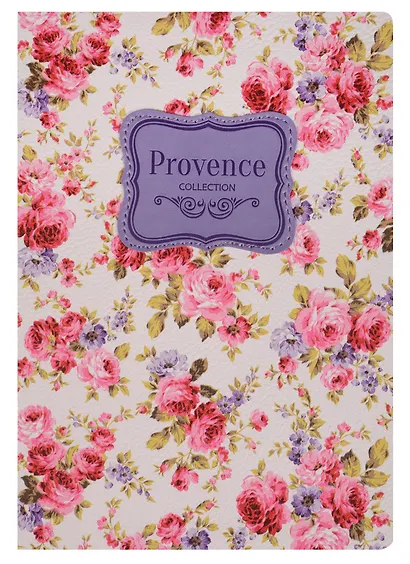 Ежедневник недатированный «Provence» А5, 96 листов, экокожа, InFolio - фото 1