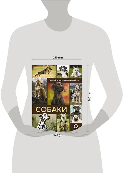 Собаки. Лучший иллюстрированный гид - фото 7