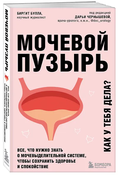 Мочевой пузырь. Все, что нужно знать о мочевыделительной системе, чтобы сохранить здоровье и спокойствие - фото 3